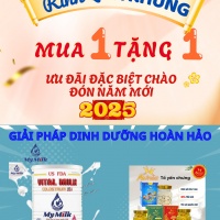 CHÀO MỪNG NĂM 2025