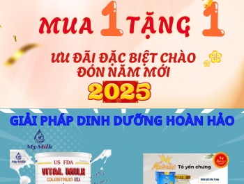 CHÀO MỪNG NĂM 2025